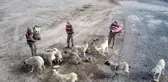 Sarıkamış'ta kısmen boşaltılan köyde sahipsiz köpeklere jandarma sahip çıktı