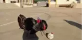 Hindilerin futbol keyfi