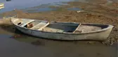 2 bin vatandaşın geçim kaynağı Marmara Gölü yok oluyor! Derinlik 40 santimetreye düştü