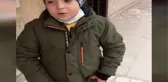 Küçük çocuğun sokak hayvanları için yaptığı çağrı Belediye Başkanını harekete geçirdi