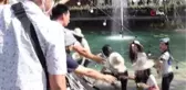 Tayland'da güzellik yarışması adaylarının çıktığı köprü çöktü