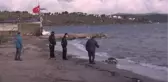 Bodrum'da ölü caretta caretta sahile vurdu