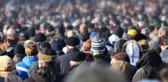 Pandemiyle yıldızı parlayan sektörlerden kargoda istihdam patladı! Tam 20 bin kişiye iş imkanı sağlandı