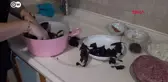 Ev işçileri pandemide geçim kaynaklarını kaybetti