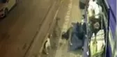 Sokak köpeklerinin saldırısıyla yere düştü, saldırıyı tekmeleriyle savuşturdu