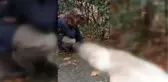 Son dakika haberi | 3 sokak köpeğinin zehirlenerek öldürüldüğü iddiası