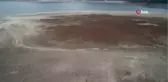 Pandemi değil, kuraklık kısıtlaması