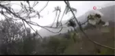 Badem ağaçları çiçek açtı