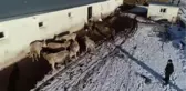 Kaybolmaya yüz tutan 
