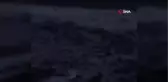 Fırtınada karaya vuran yunusu vatandaşlar kurtardı