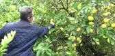 Dolu ve fırtınadan etkilenen alanlarda hasar tespit çalışması başlatıldı