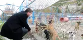 Burdur'da sokak köpeğinin katledildiği iddiasına yalanlama