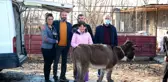 Eziyet edilen eşek, İzmir'e gönderildi