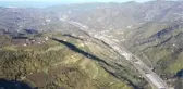 Fındık zararlısı 