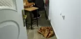 Kumar oynayan ve Kovid-19 tedbirlerini ihlal eden 19 kişiye 81 bin 900 lira ceza