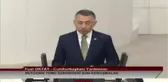 Fuat Oktay: 