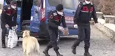 Jandarma sokak hayvanlarını unutmadı