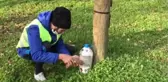 Yabancı uyruklu öğrenciler sokak hayvanlarını besledi