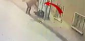 Eski eşini öldürüp intihara kalkışmıştı! Kan donduran cinayetin görüntüleri ortaya çıktı