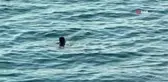 Kayak merkezleri karla buluştu, Antalya denize koştu