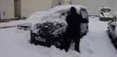 Doğu Anadolu'da kar kentleri beyaza bürüdü (2)
