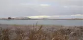 Sakarmeke kuşları buzla kaplı gölde mahsur kaldı