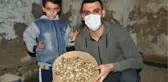 Yumurtalarını kardeşine yedirmek için aldığı 8 bıldırcınla çiftlik kurdu