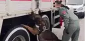 Van'da 220 kilo eroin ele geçirildi