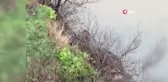 Karacayı kurtarmak için Çoruh Nehri'ne atlayan belediye çalışanı yaşadığı o anları anlattı