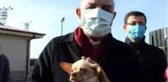 Ses telleri kesilen köpekler sahiplendiriliyor