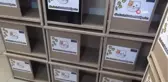 Ücretsiz dağıtılan kedi evlerine vatandaştan yoğun ilgi