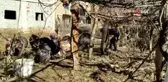 Hindiler yılbaşı öncesi satışa çıkarıldı