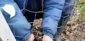 Tellerin arasına sıkışan yavru köpeği böyle kurtardı