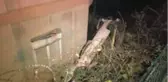 Virajı alamayan otomobil binanın bahçesine uçtu: 3 yaralı