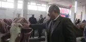 Hayvan Oteline büyük ilgi