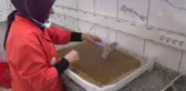Kadın girişimci kooperatifi kivi ve hurmadan pestil üretiyor