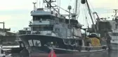 Balıkçıların yeni yılda umudu 