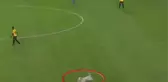 Polis köpeği bir anda sahaya daldı! Futbolcular ne yapacaklarını şaşırdı