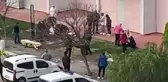 10'uncu kattan atlayan genç kadın, hayatını kaybetti