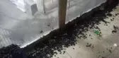 Kahvehane kundaklandı