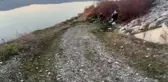 Çay kenarında balık tutan vatandaşlar, elleri ve ayakları bağlı erkek cansız bedeni buldu