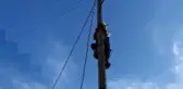 Elektrik direğinde mahsur kalan kediyi ÇEDAŞ ekipleri kurtardı
