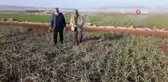 Arabanlı çiftçilerin kuraklık endişesi