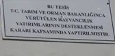Çiftçilere 123 milyon lira hibe desteği sağlandı