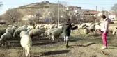 Son dakika haberleri... 