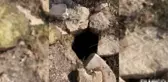 Mardin'de terör örgütü işbirlikçilerine operasyon: 22 gözaltı