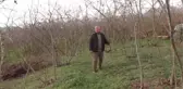 Hava şartları fındık üreticilerini endişelendiriyor