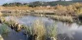 Patara Kazı Başkanı Işık: 