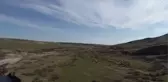 Hayvanlar sıcak hava nedeniyle meraları mesken etti