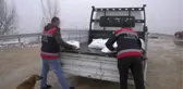Başkentte sokak hayvanları unutulmadı